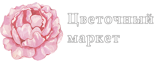 Сайт по умолчанию